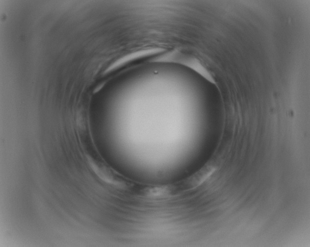 X0000071970088200607282109