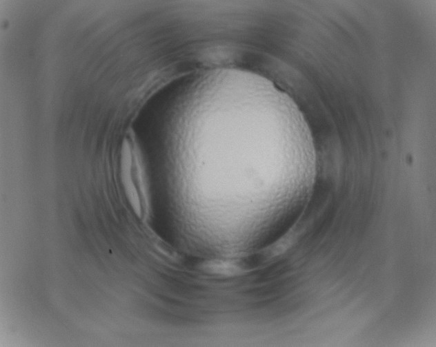 X0000071970093200607282109