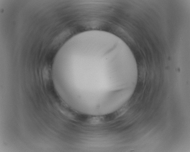 X0000071970126200607282107