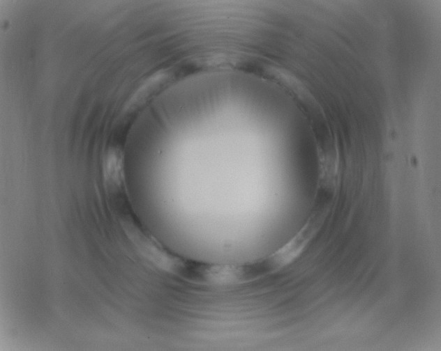 X0000071970142200607282107