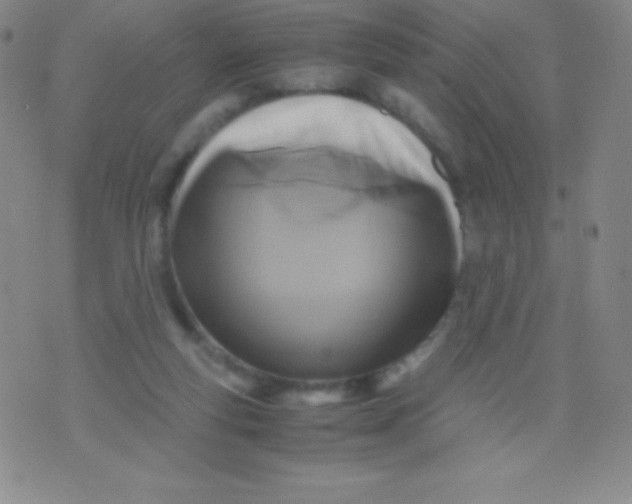 X0000071970163200607282107