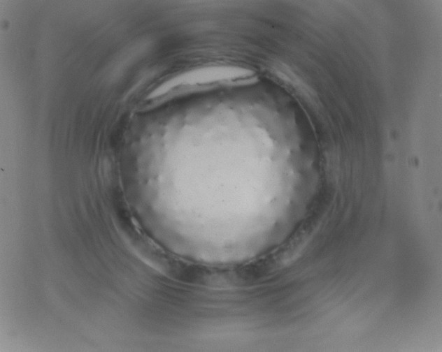 X0000071970165200607282107