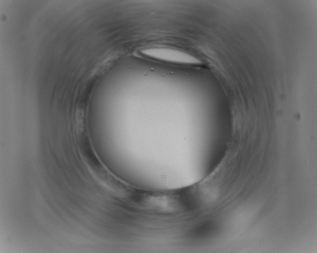 X0000071970171200607282107