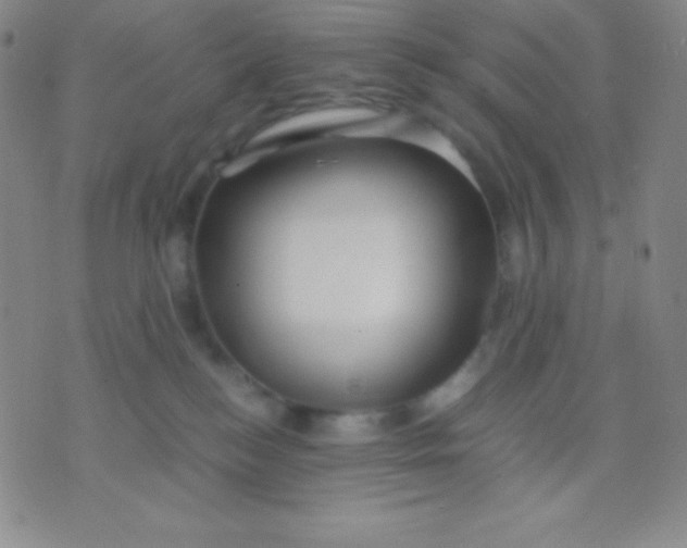 X0000071970184200607282107