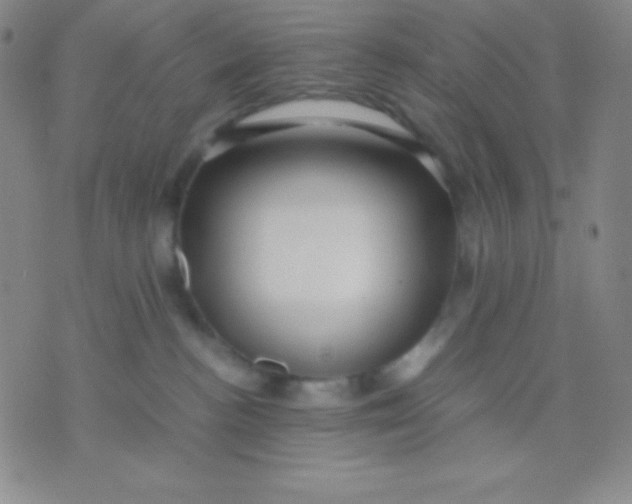 X0000071970188200607282107