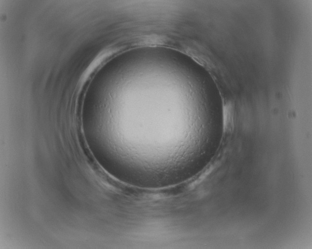 X0000071970195200607282106