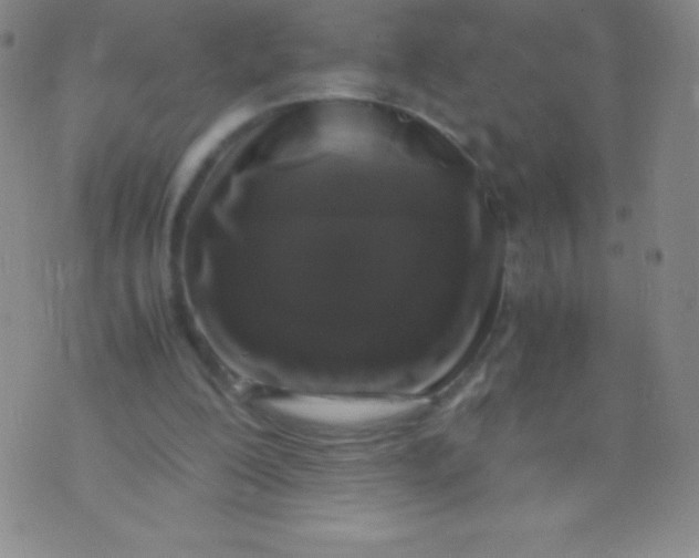 X0000071970200200607282106