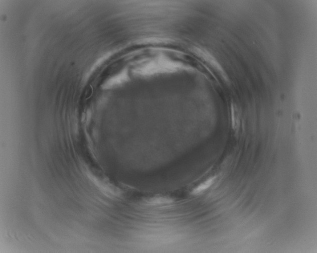 X0000071970204200607282106