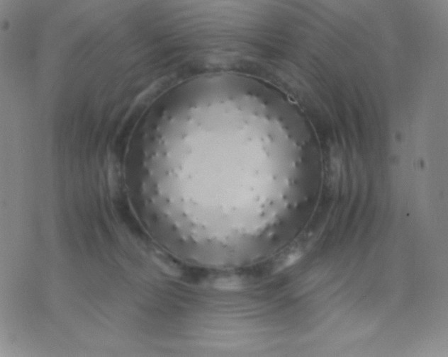 X0000071970228200607282106