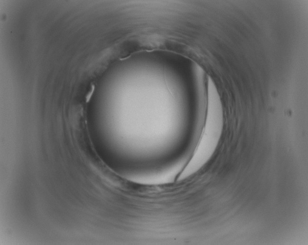 X0000071970229200607282106
