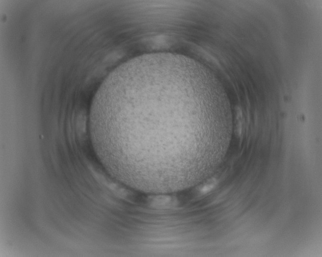 X0000071970230200607282106