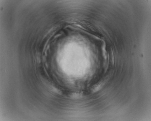X0000071970232200607282106