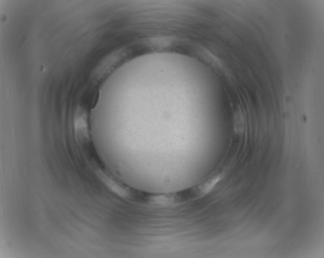 X0000071970238200607282106