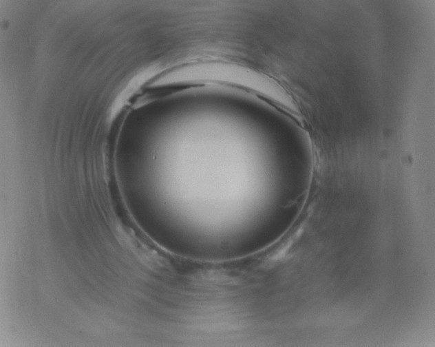 X0000071970244200607282105