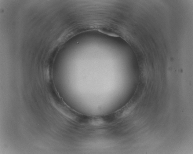 X0000071970262200607282105