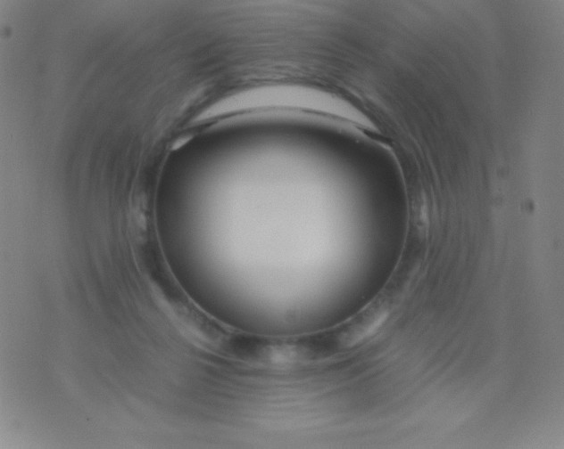 X0000071970264200607282105