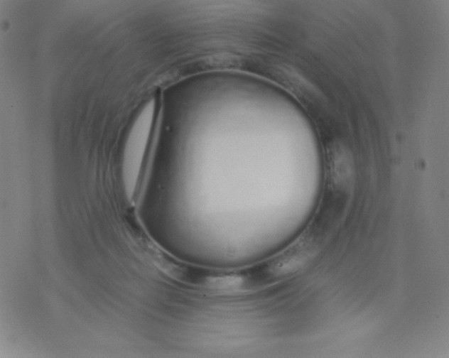 X0000071970266200607282105