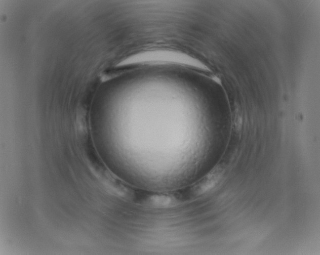 X0000071970272200607282105