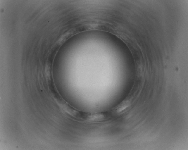 X0000071970274200607282105