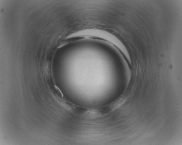 X0000071970280200607282105