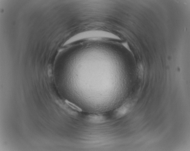 X0000071970284200607282105