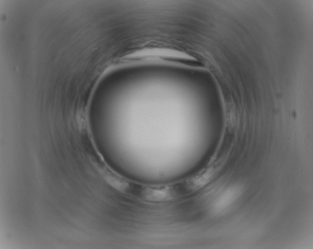 X0000071970285200607282105