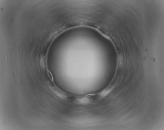X0000071970286200607282106