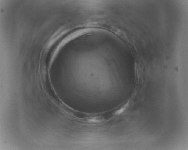 X0000071970295200607282105