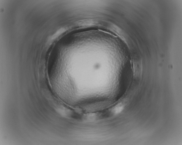 X0000071970301200607282105