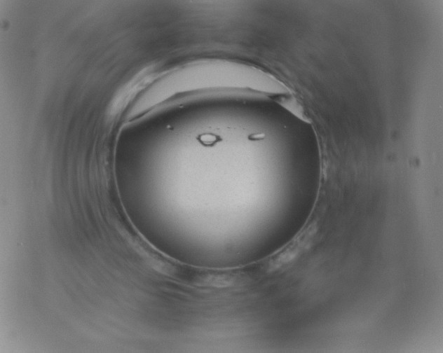 X0000071970341200607282103