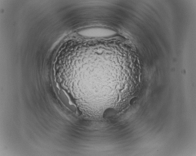 X0000071970347200607282103
