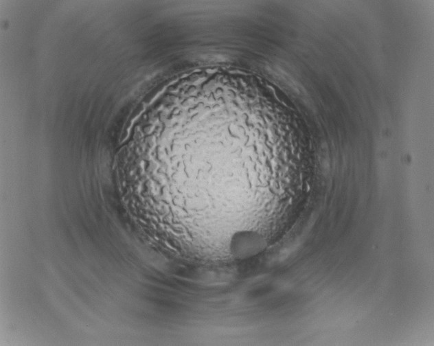 X0000071970359200607282104