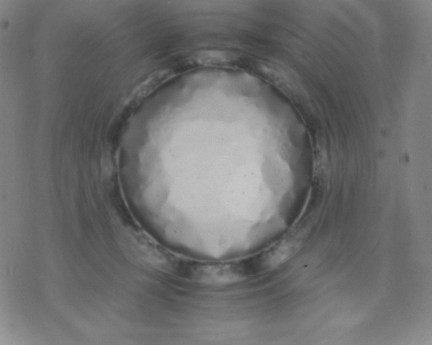 X0000071970367200607282104