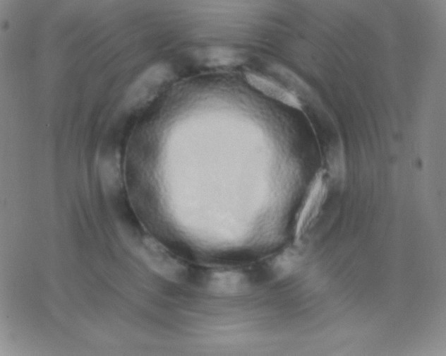 X0000071970376200607282104