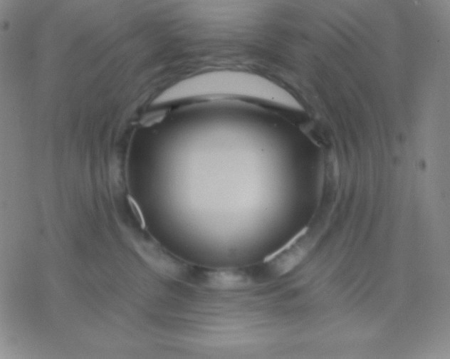 X0000071970380200607282104