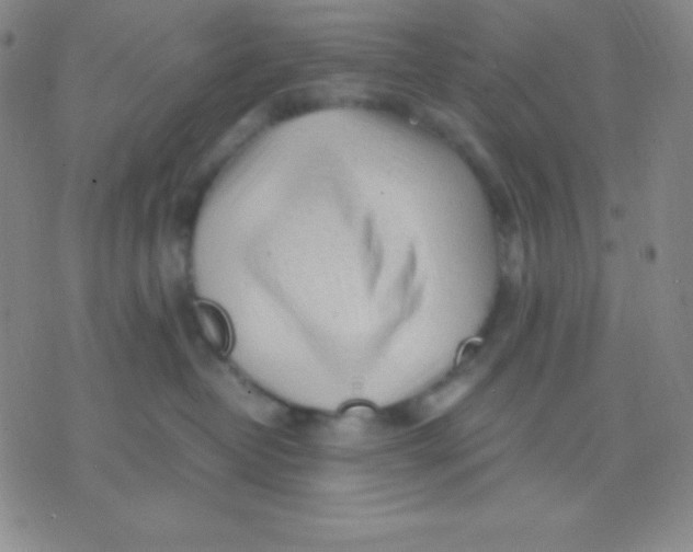 X0000071970382200607282104