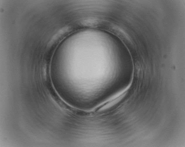 X0000071970404200607282103