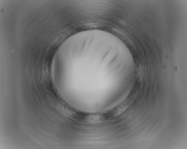 X0000071970418200607282103