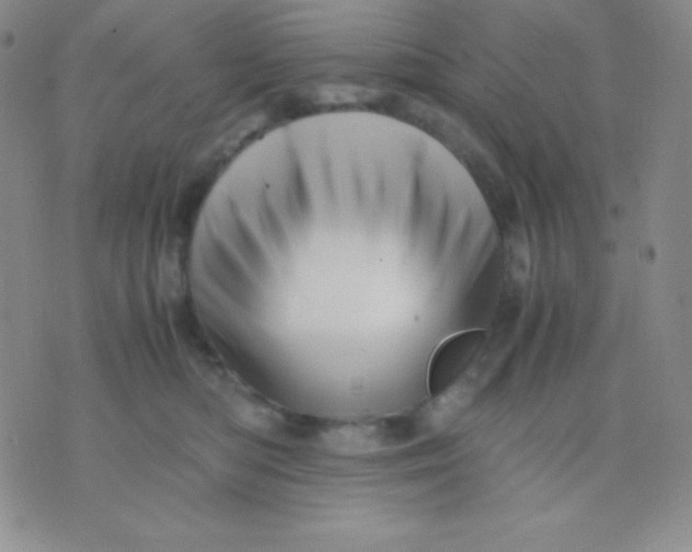 X0000071970422200607282103