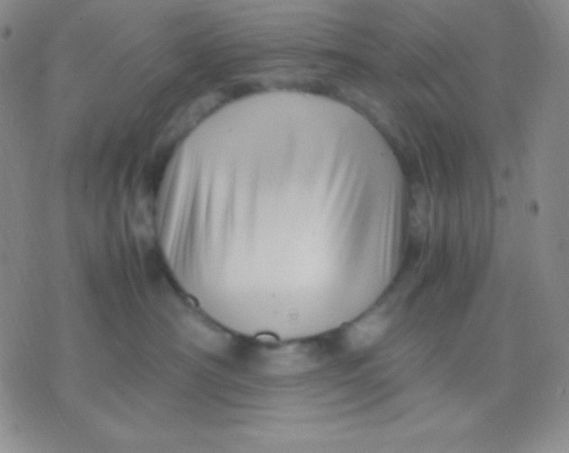 X0000071970430200607282102