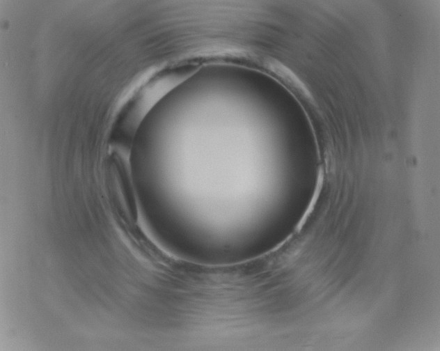 X0000071970436200607282102