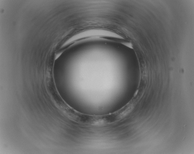 X0000071970456200607282102