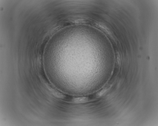 X0000071970461200607282102
