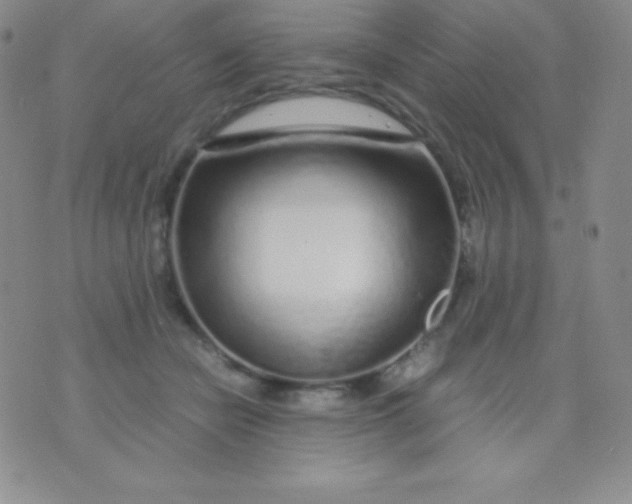 X0000071970462200607282102
