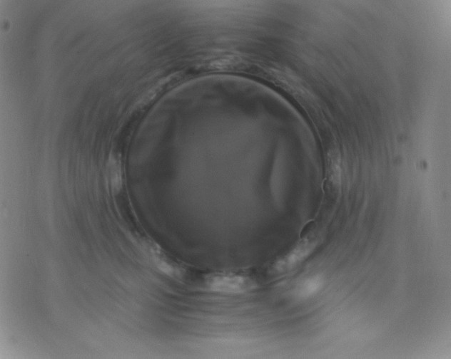X0000071970471200607282102