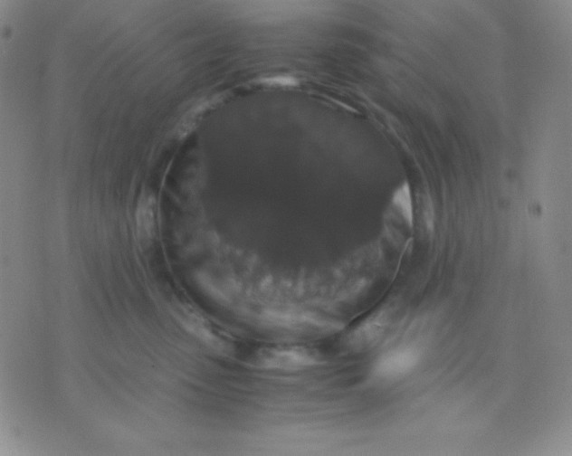 X0000071970475200607282102