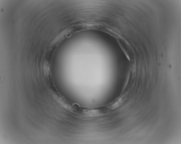 X0000071970476200607282102