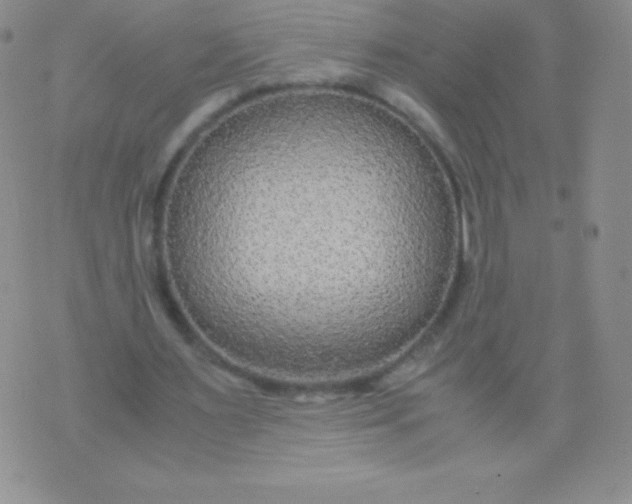 X0000071970483200607282102