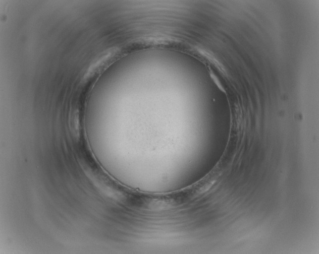 X0000071970494200607282101