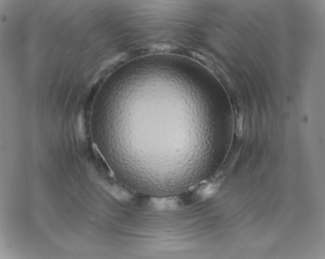 X0000071970520200607282101